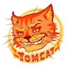 tomcat02