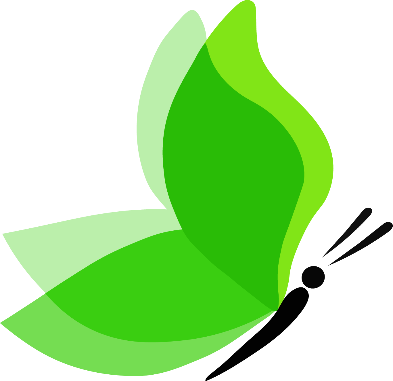 Langtrees_green_butterfly_logo.png