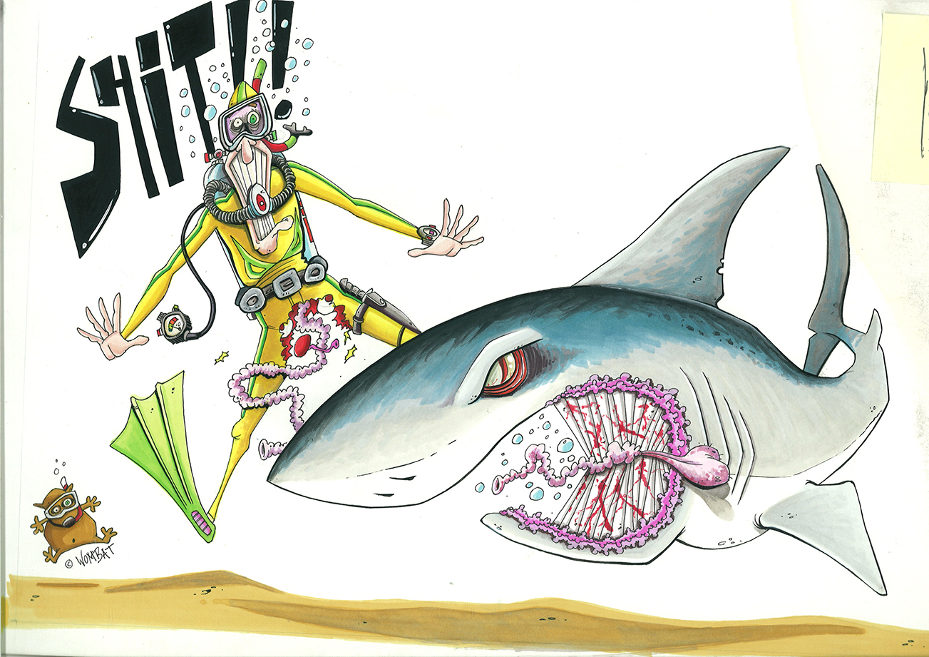 0136_001-original-feed-to-sharks1.jpg