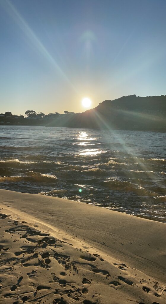 0A9D4C82-859B-4431-B127-072423B7D345.jpeg
