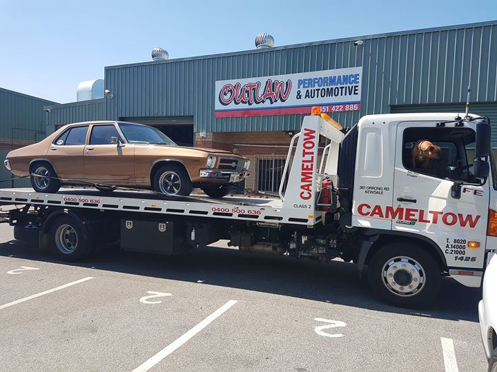 1.Camel.Perth.a.jpg
