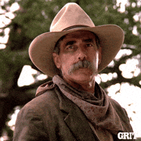 1000006731.gif