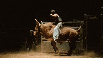 1000006822.gif