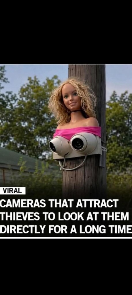 1000039329.jpg