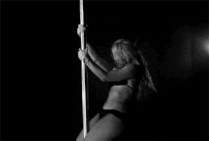 13575169.gif