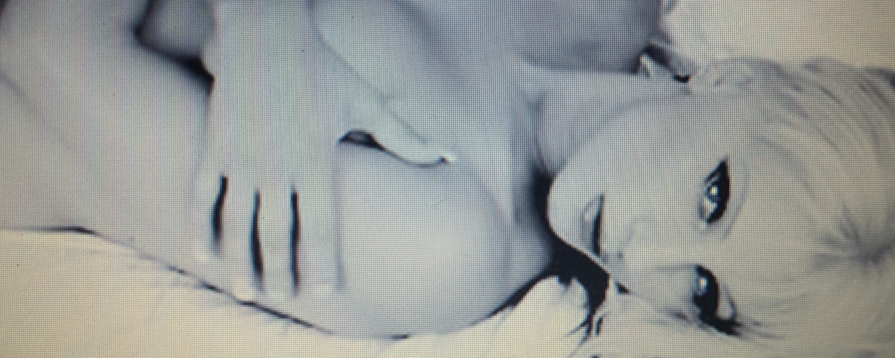 14052463264491.jpg