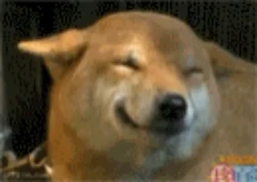 1568091309487.png