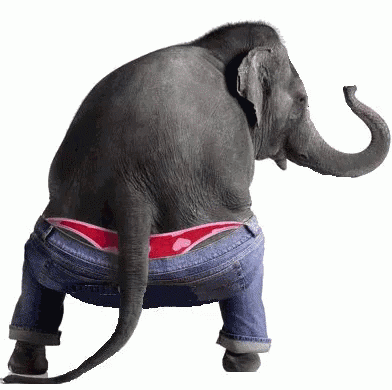 1575202213777.png