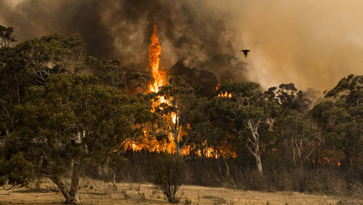 Fire in Bungadore
