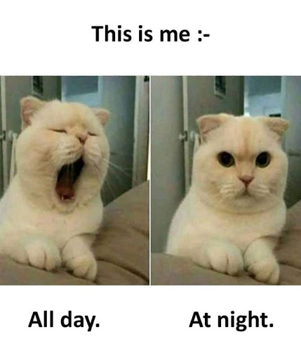 1582527806811.png