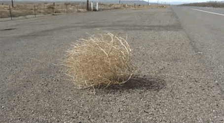 1585139581291.gif