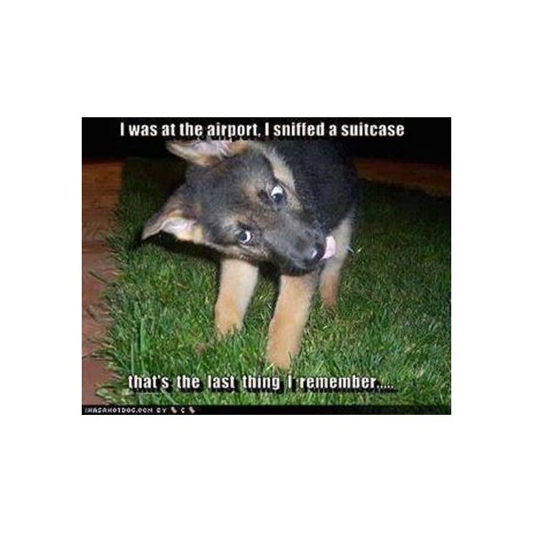 1586622225199.png