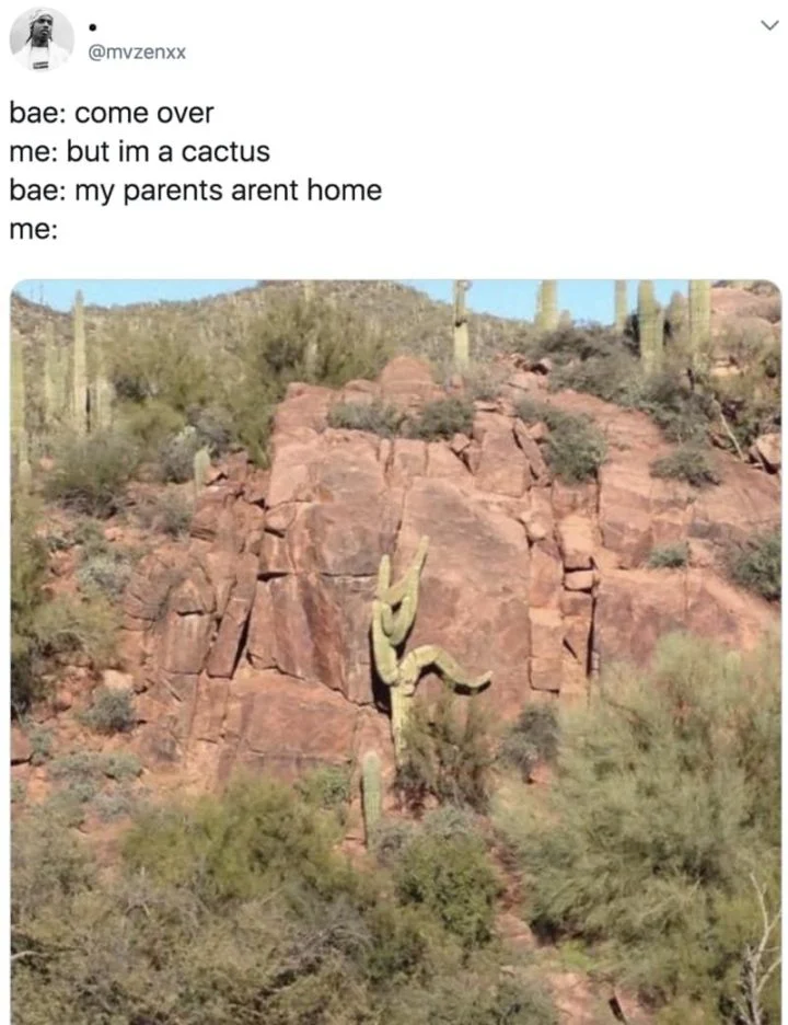 1640704492921.png