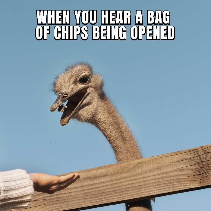 1666044611695.png