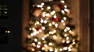 Chrismas lights on tree