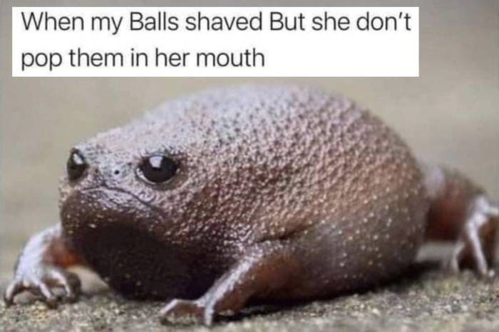 1670733438888.png