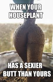 1671177612611.png