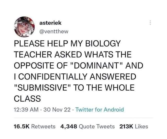 1672138458042.png