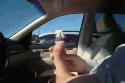 1672976622912.gif