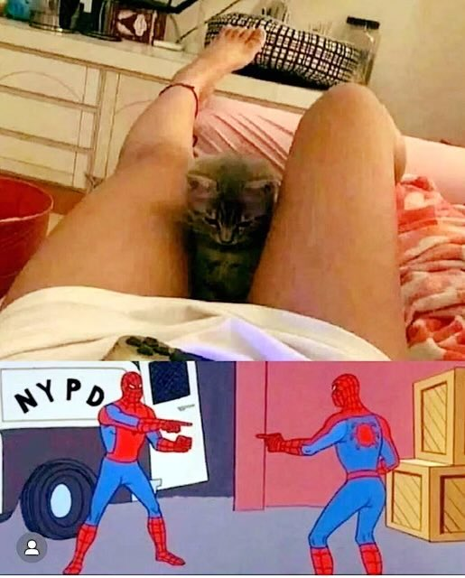 1673667513948.png