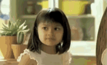 1674904111809.gif