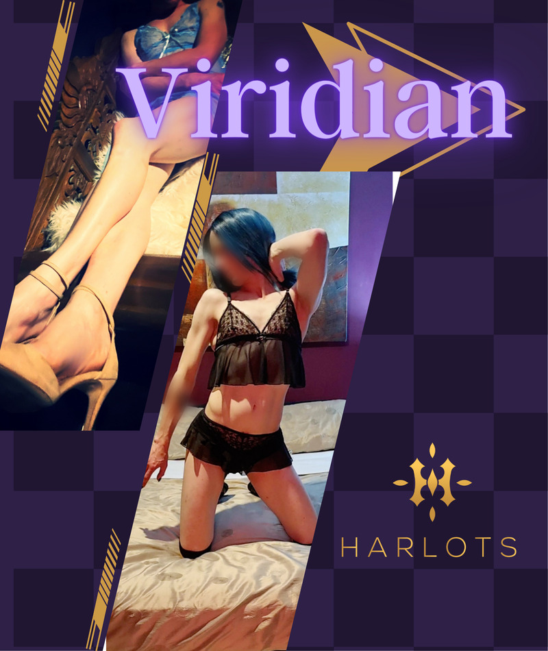 TS Viridian Fyshwick trans escort