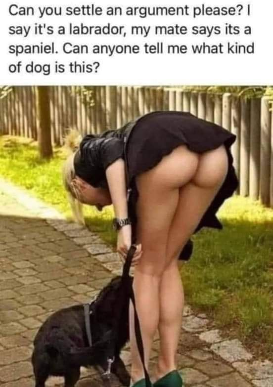 1713171788804.png