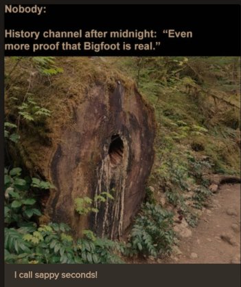 1729435124932.png
