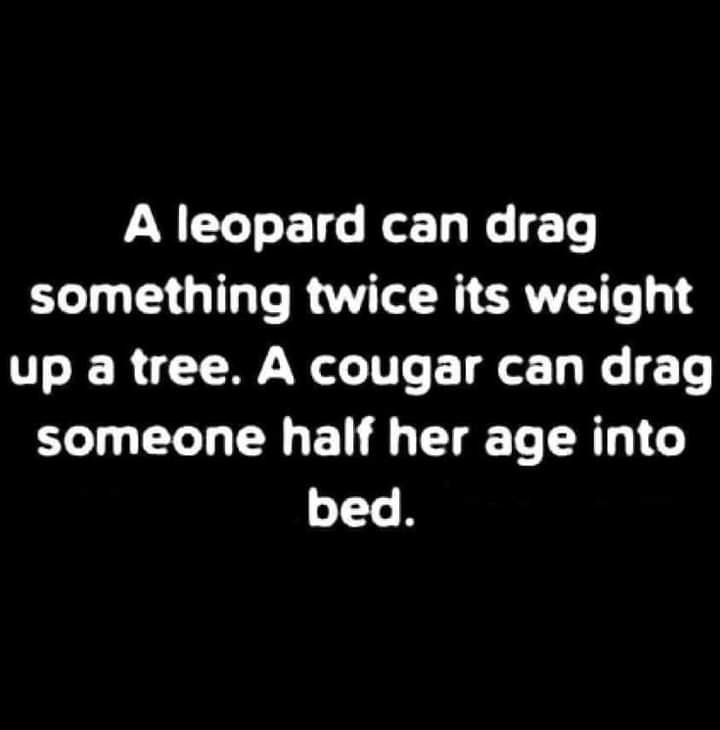 1729745837004.png
