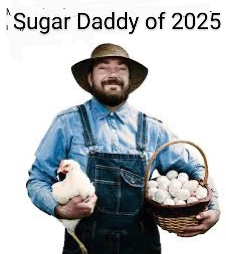 1739581343210.png