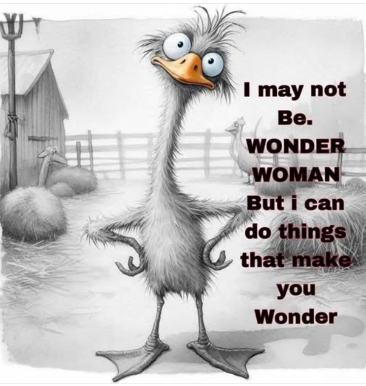 1740499339184.png