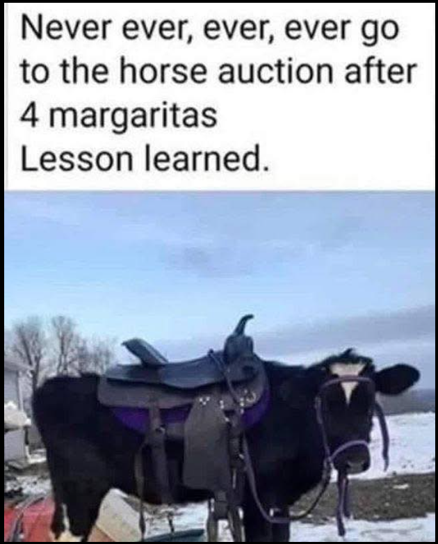 1740541656349.png