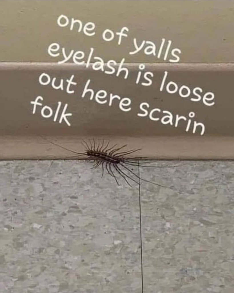 1757052930358.png