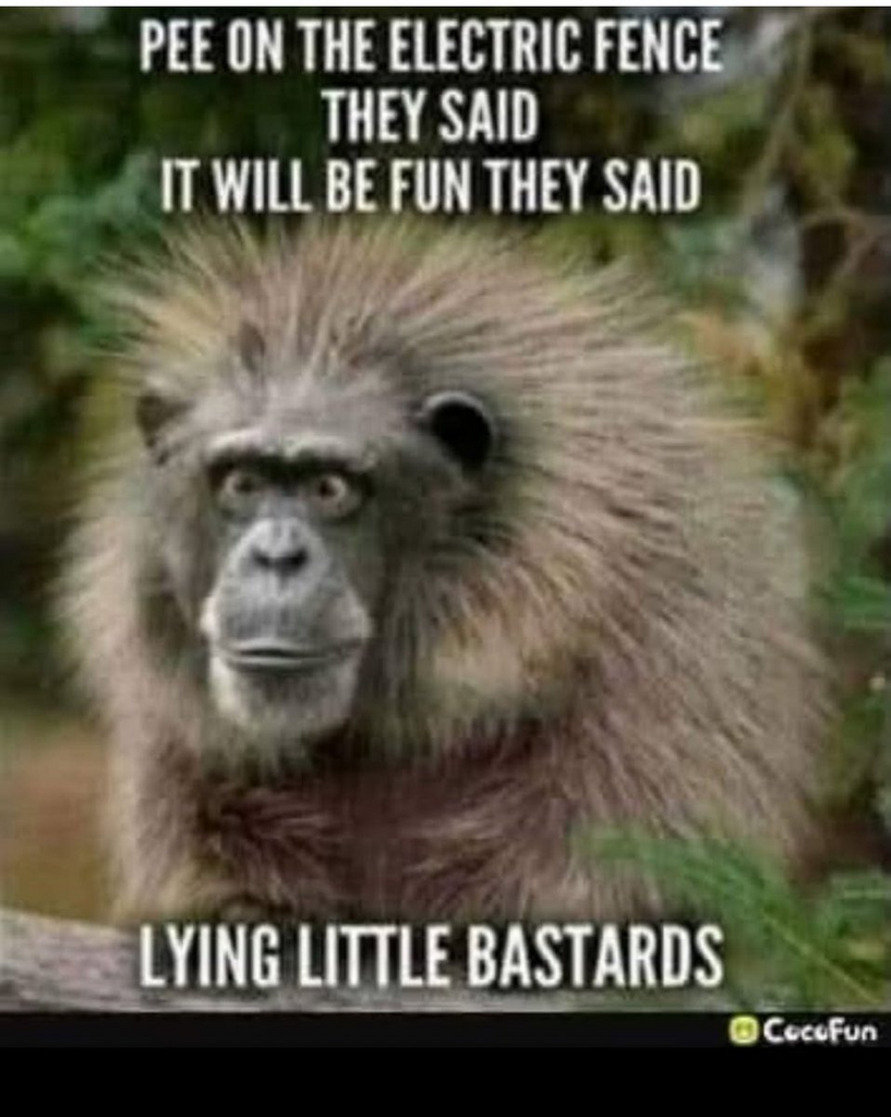 1757053267656.png