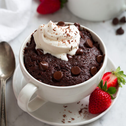 Chocolate Mug Cake Talkinsex.com
