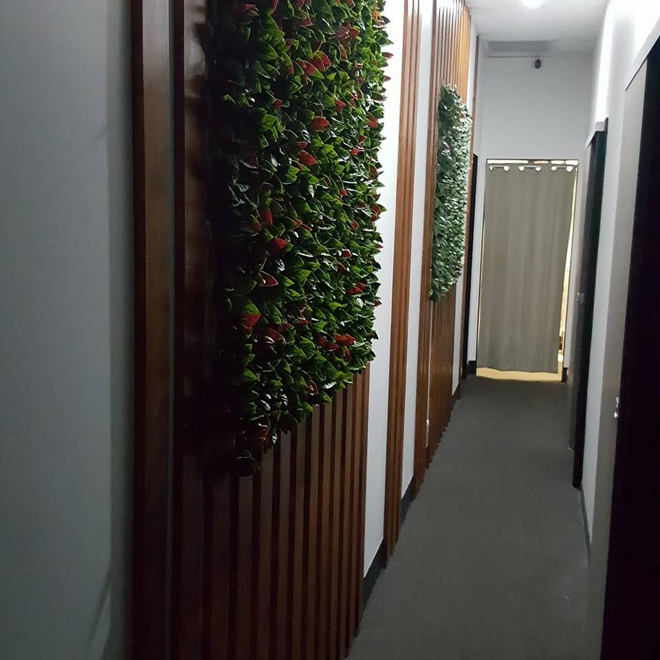 20170711_004525.jpg
