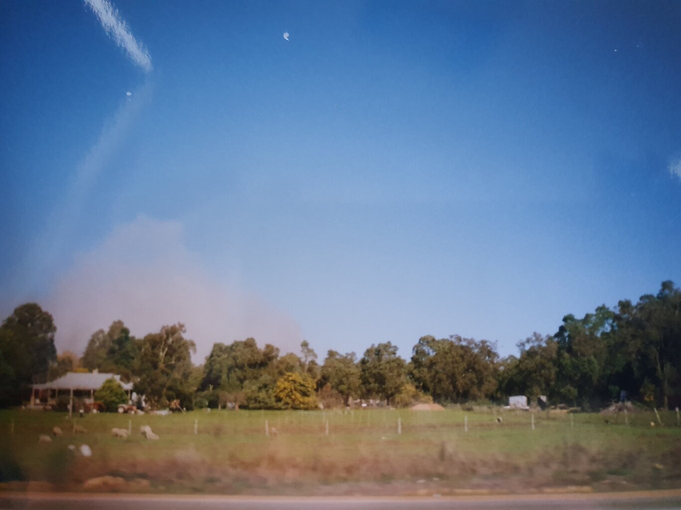 20200424_152936.jpg