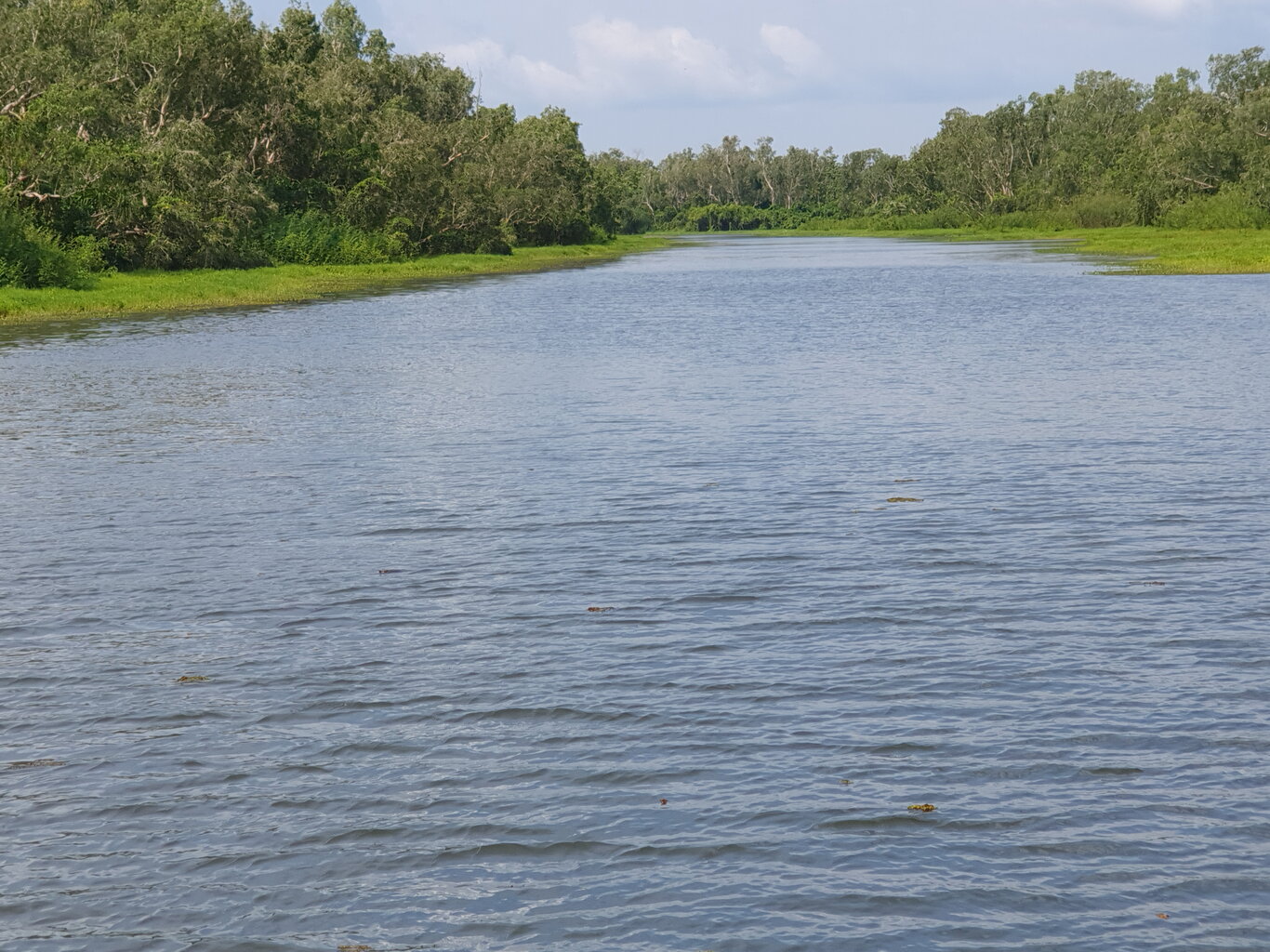20200928_145311.jpg