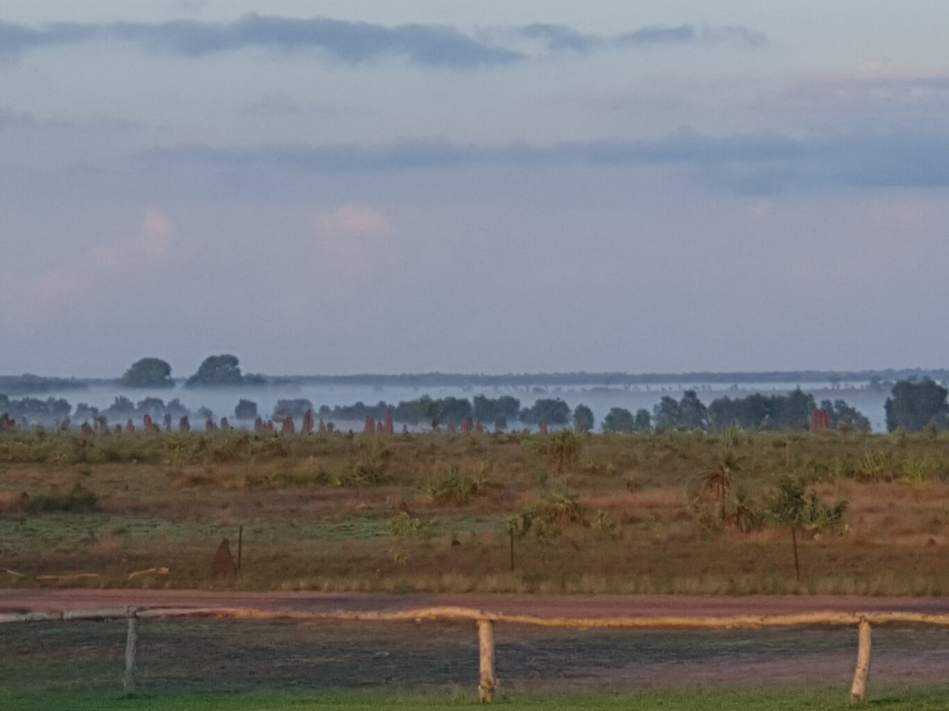 20200929_065623.jpg