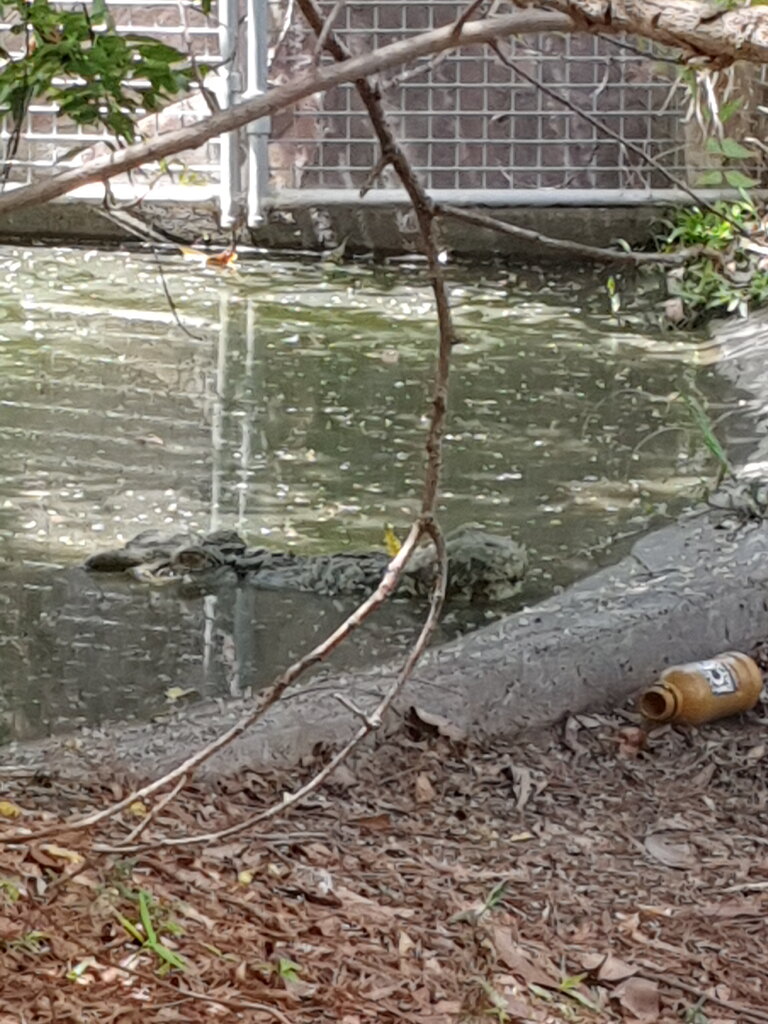 20200929_112335.jpg