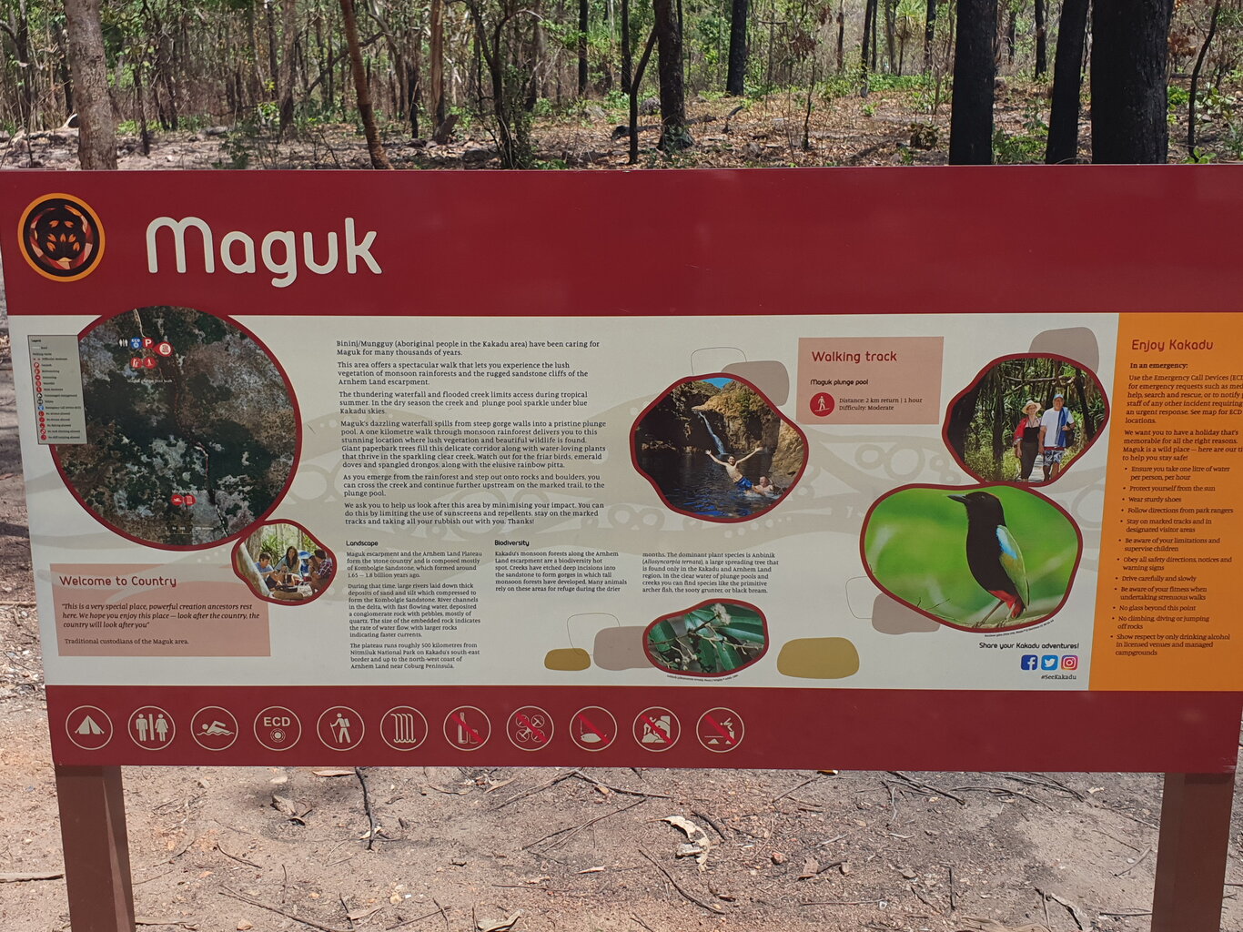 20200930_133805.jpg
