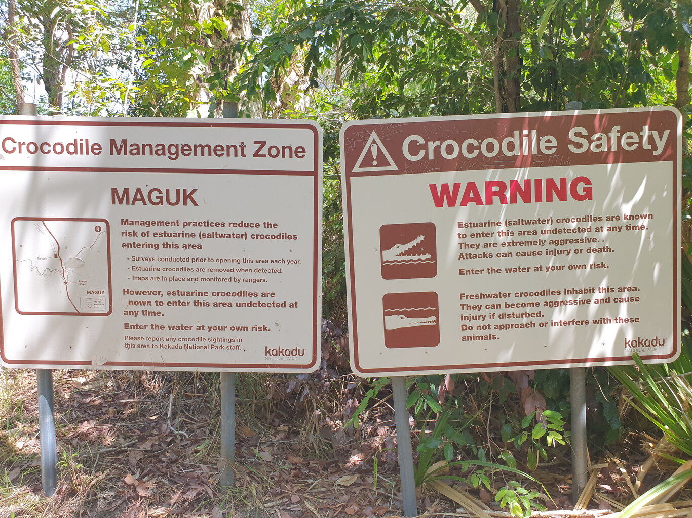 20200930_134937.jpg