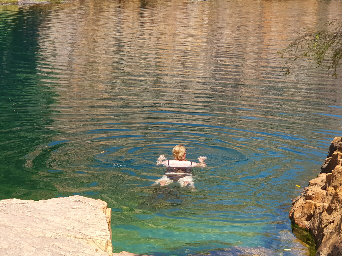 20200930_141310.jpg