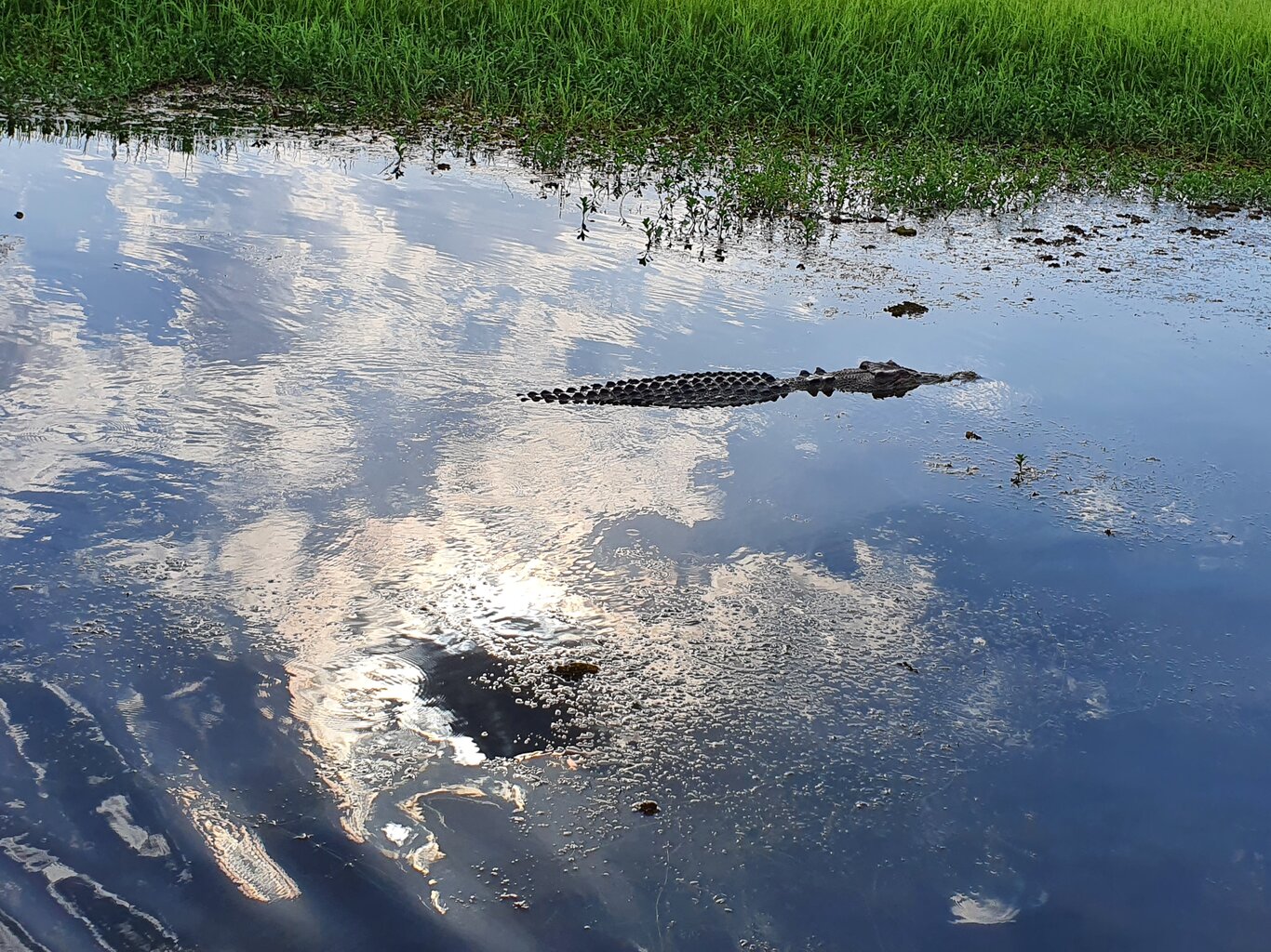 20200930_163926.jpg