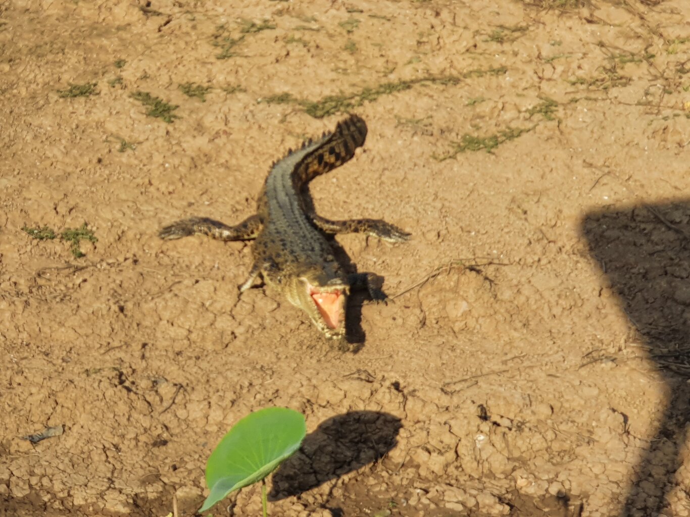 20200930_172417.jpg