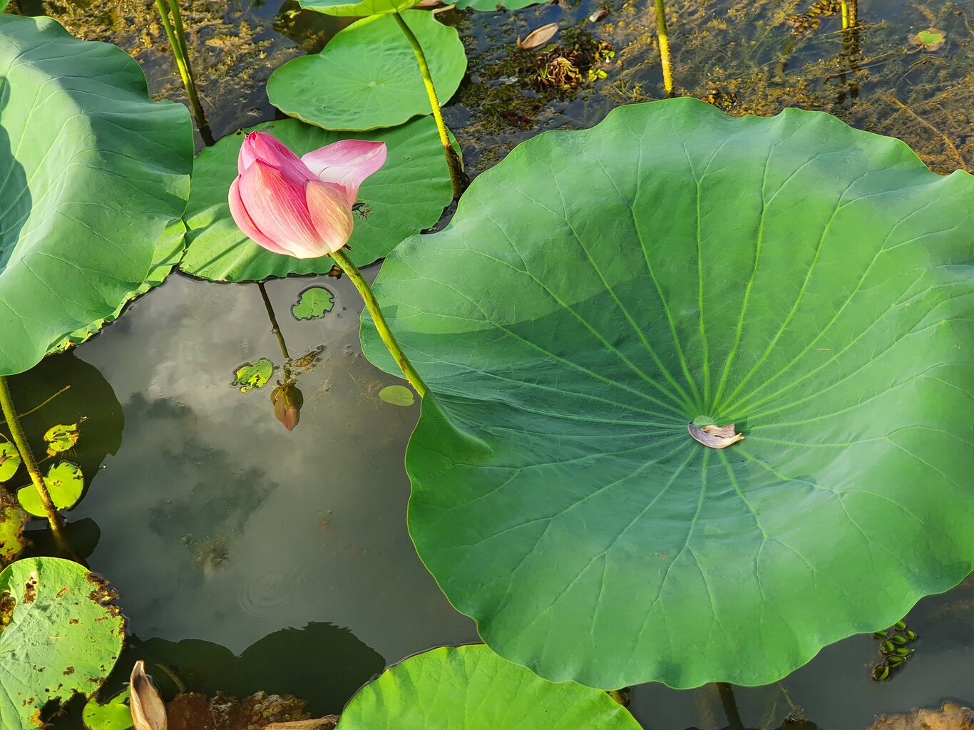 20200930_172630.jpg