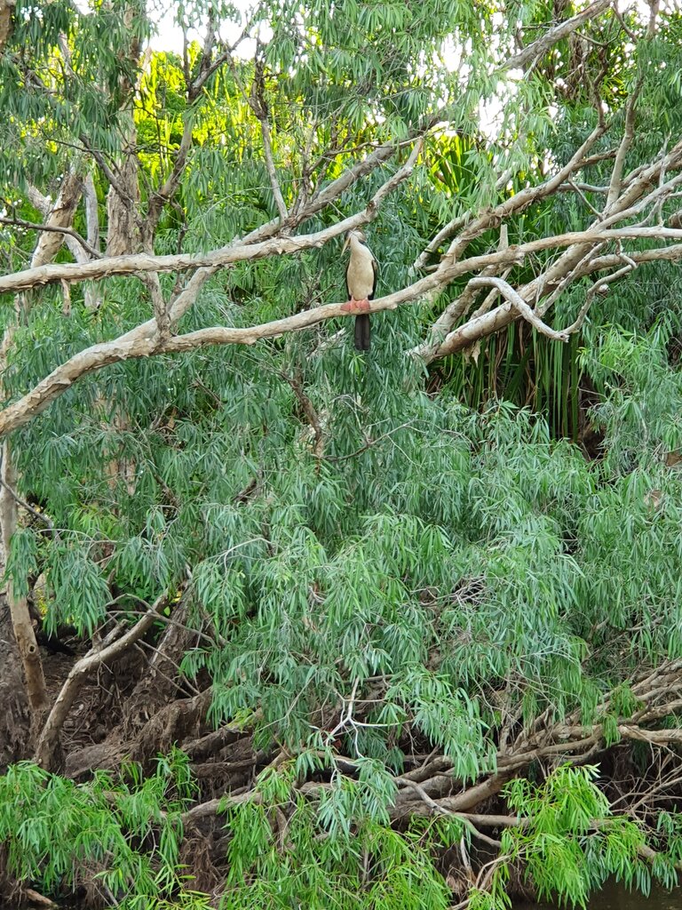 20200930_174309.jpg