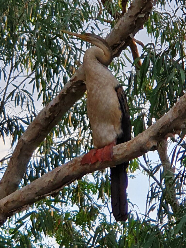 20200930_174534.jpg