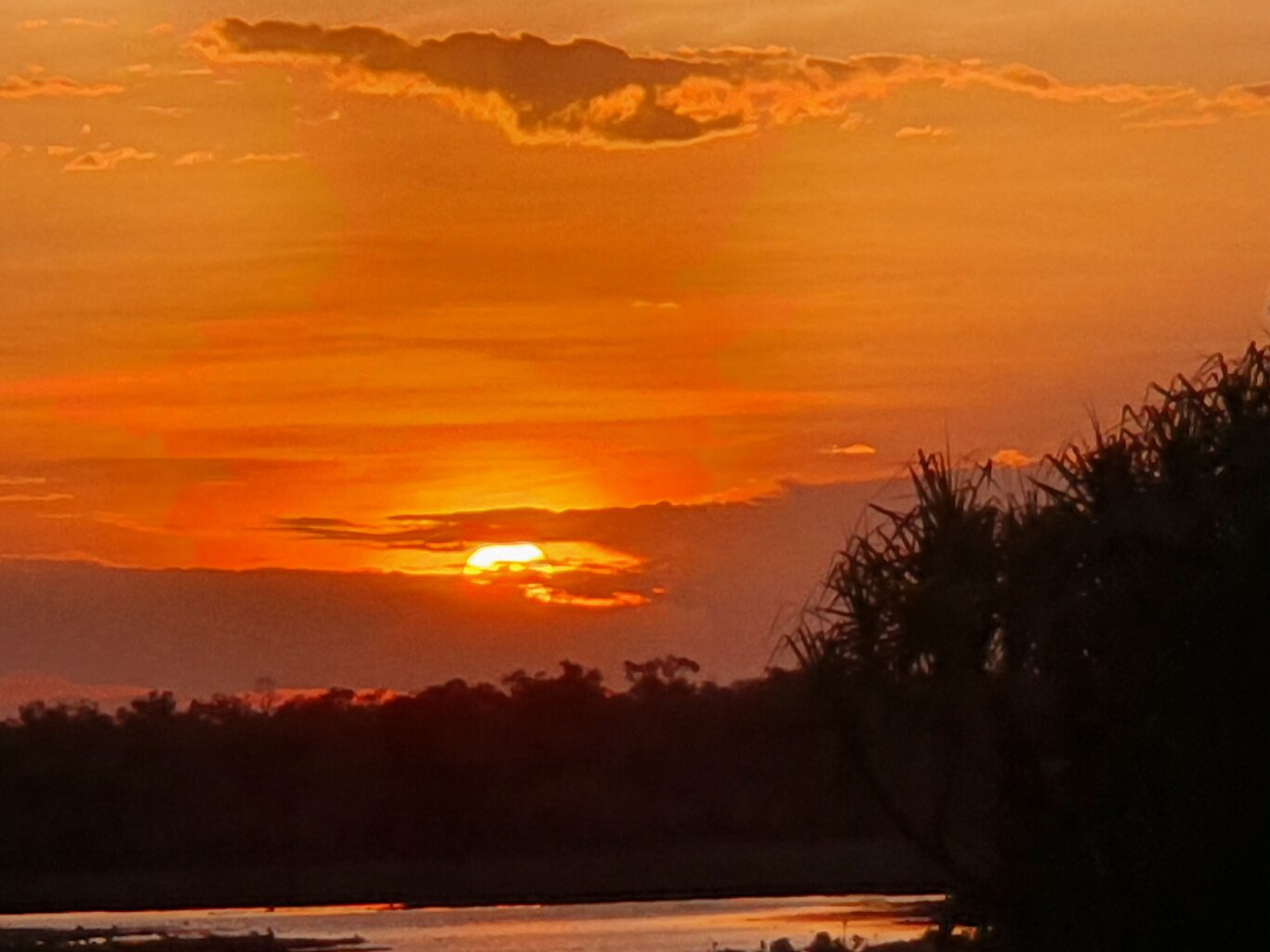 20200930_182753.jpg