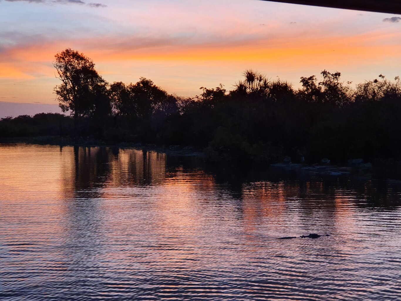 20200930_184804.jpg